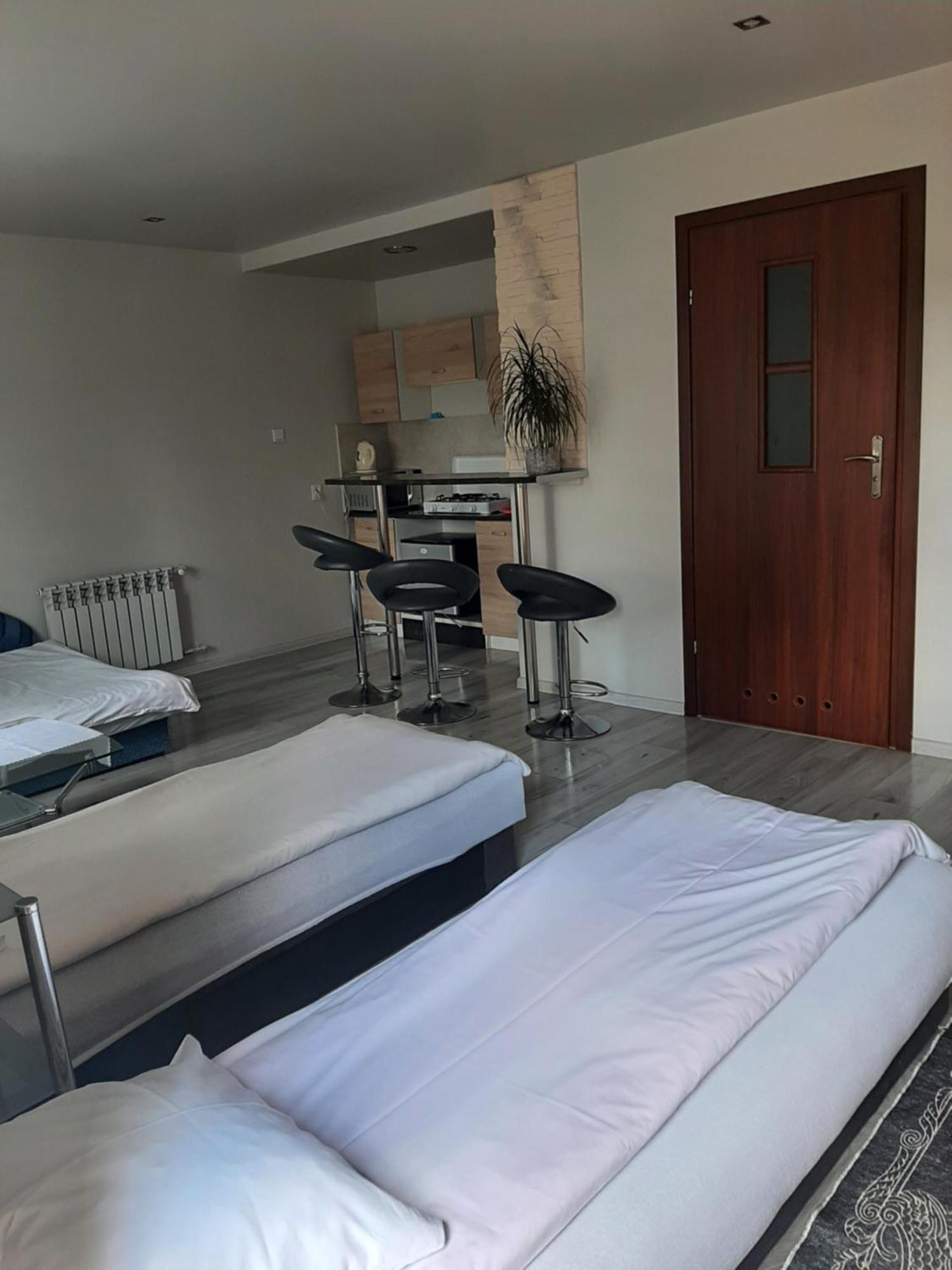 Zielone Zacisze Apartment Zagnansk Екстериор снимка