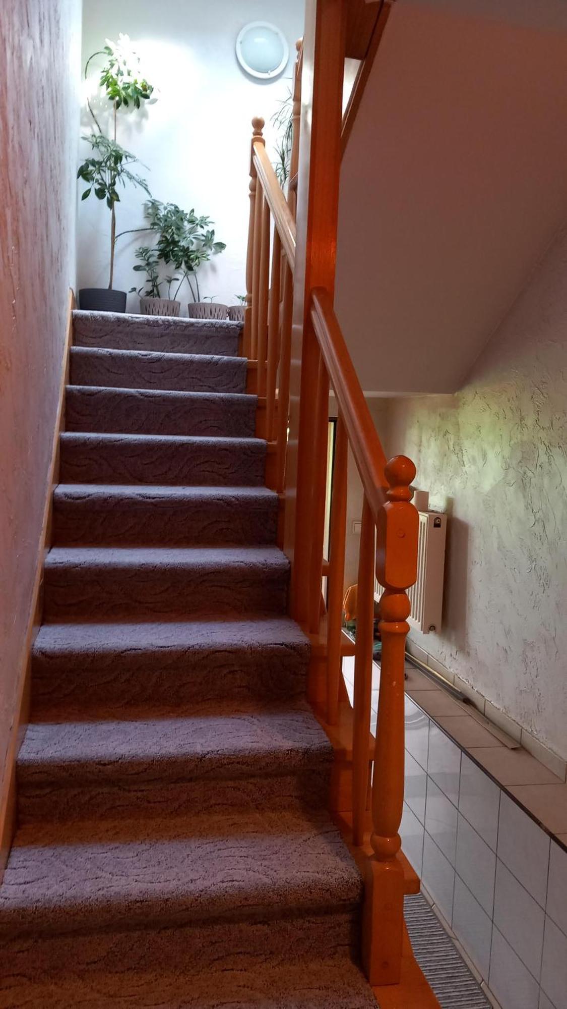 Zielone Zacisze Apartment Zagnansk Екстериор снимка