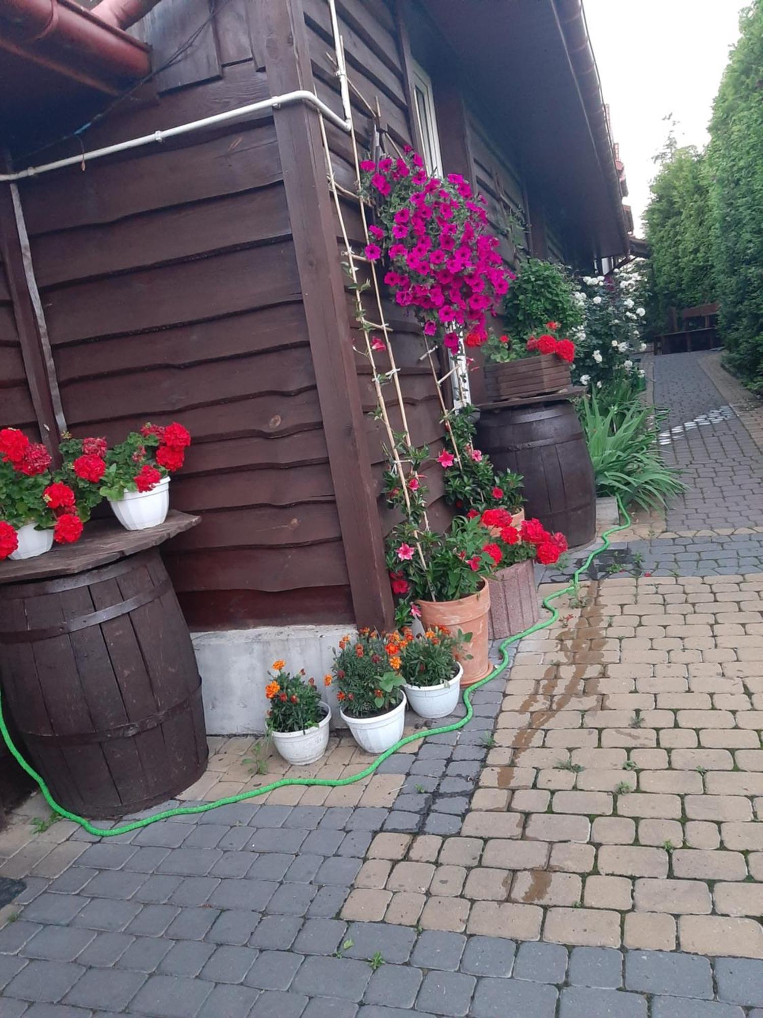 Zielone Zacisze Apartment Zagnansk Екстериор снимка