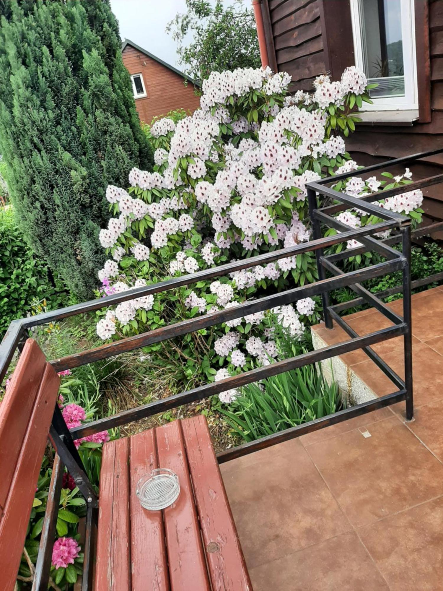 Zielone Zacisze Apartment Zagnansk Екстериор снимка