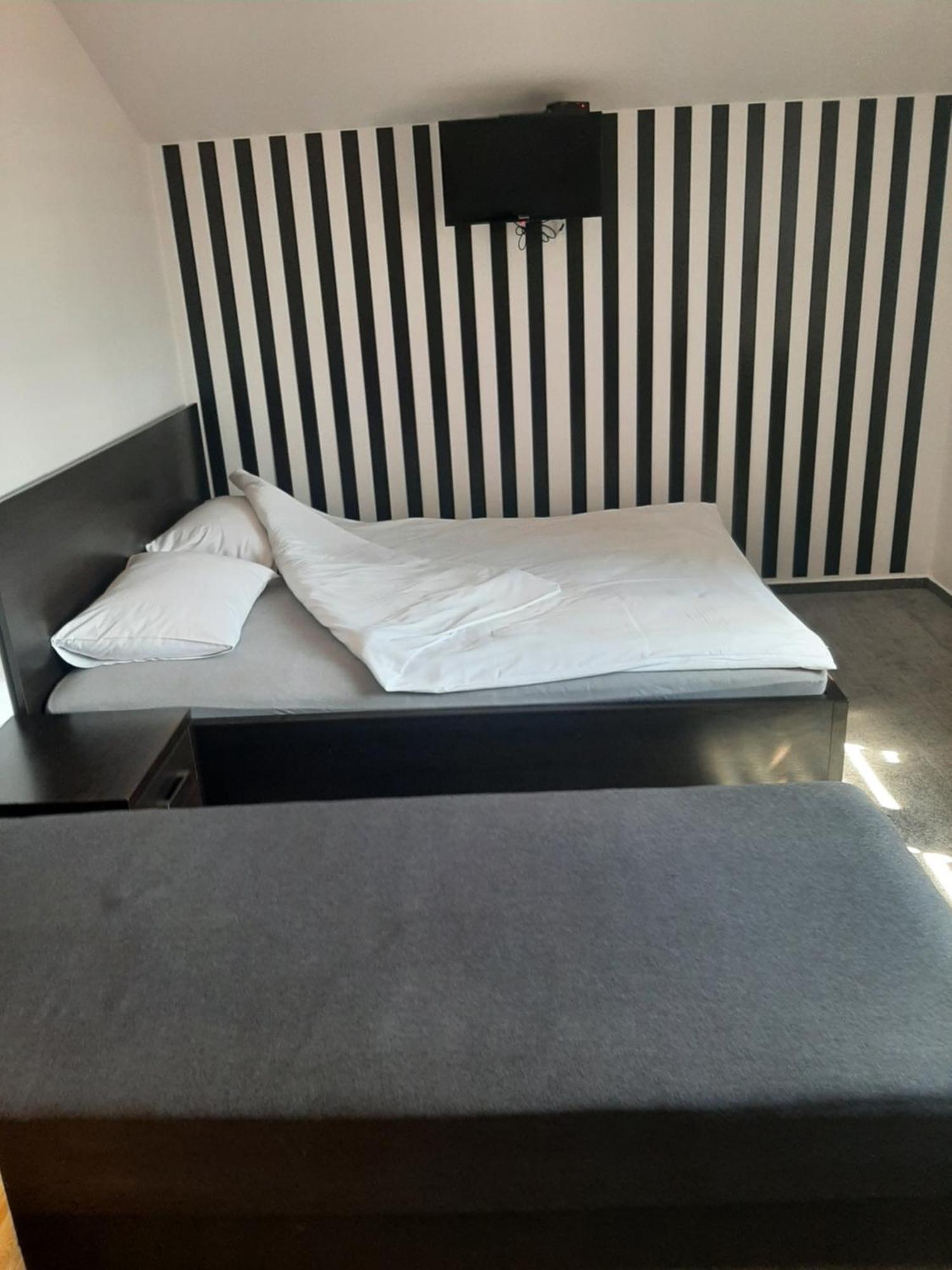 Zielone Zacisze Apartment Zagnansk Екстериор снимка