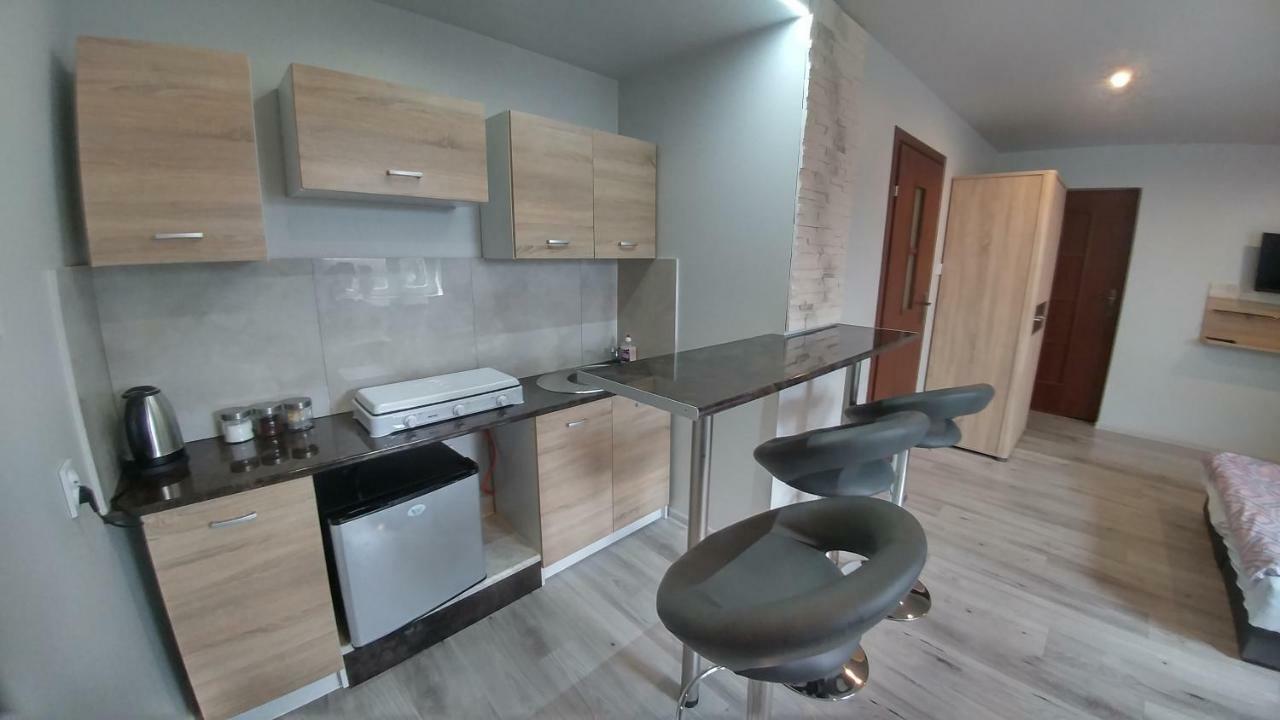 Zielone Zacisze Apartment Zagnansk Екстериор снимка
